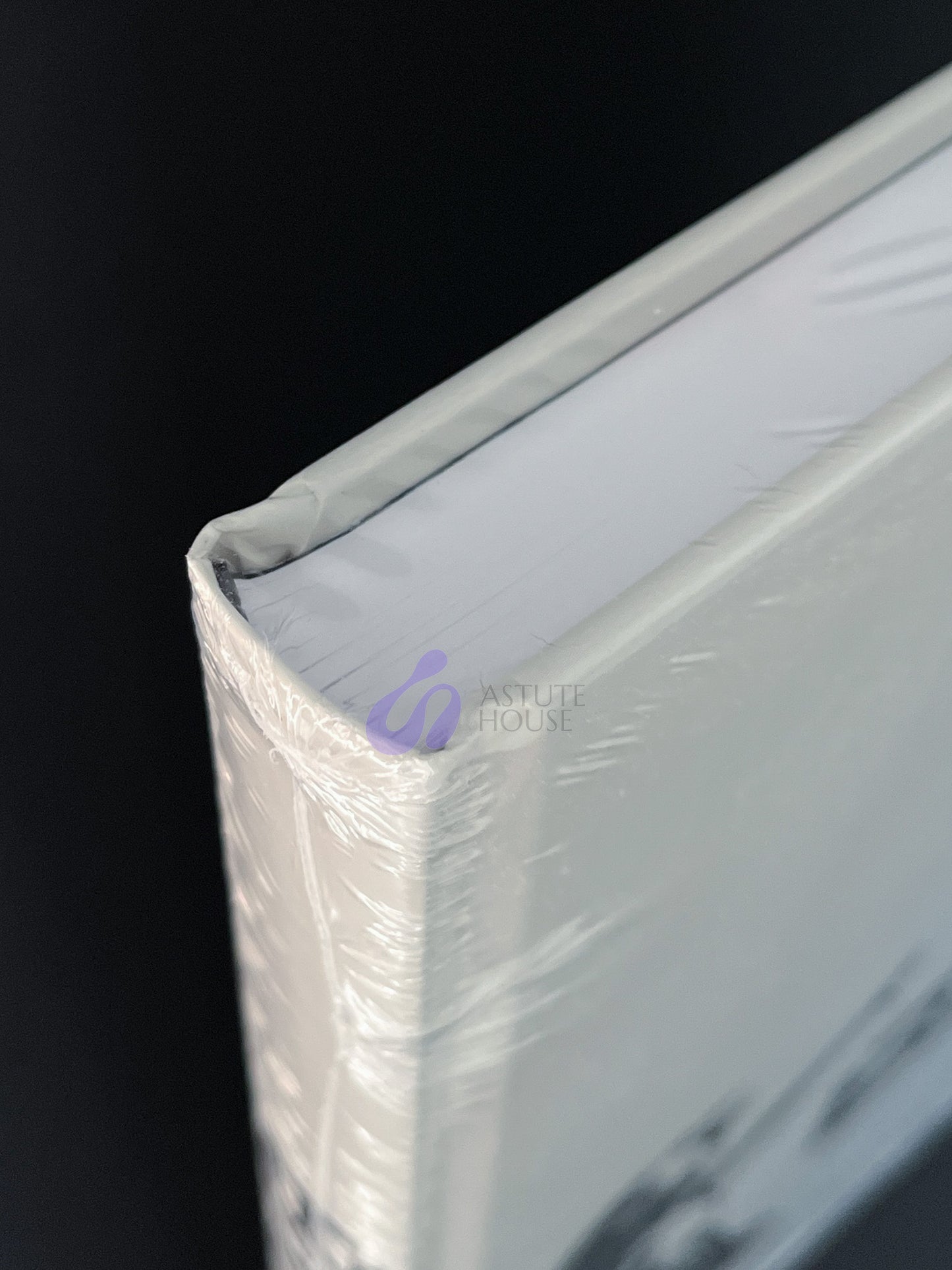 Banksy by Stefano Antonelli & Gianluca Marziani