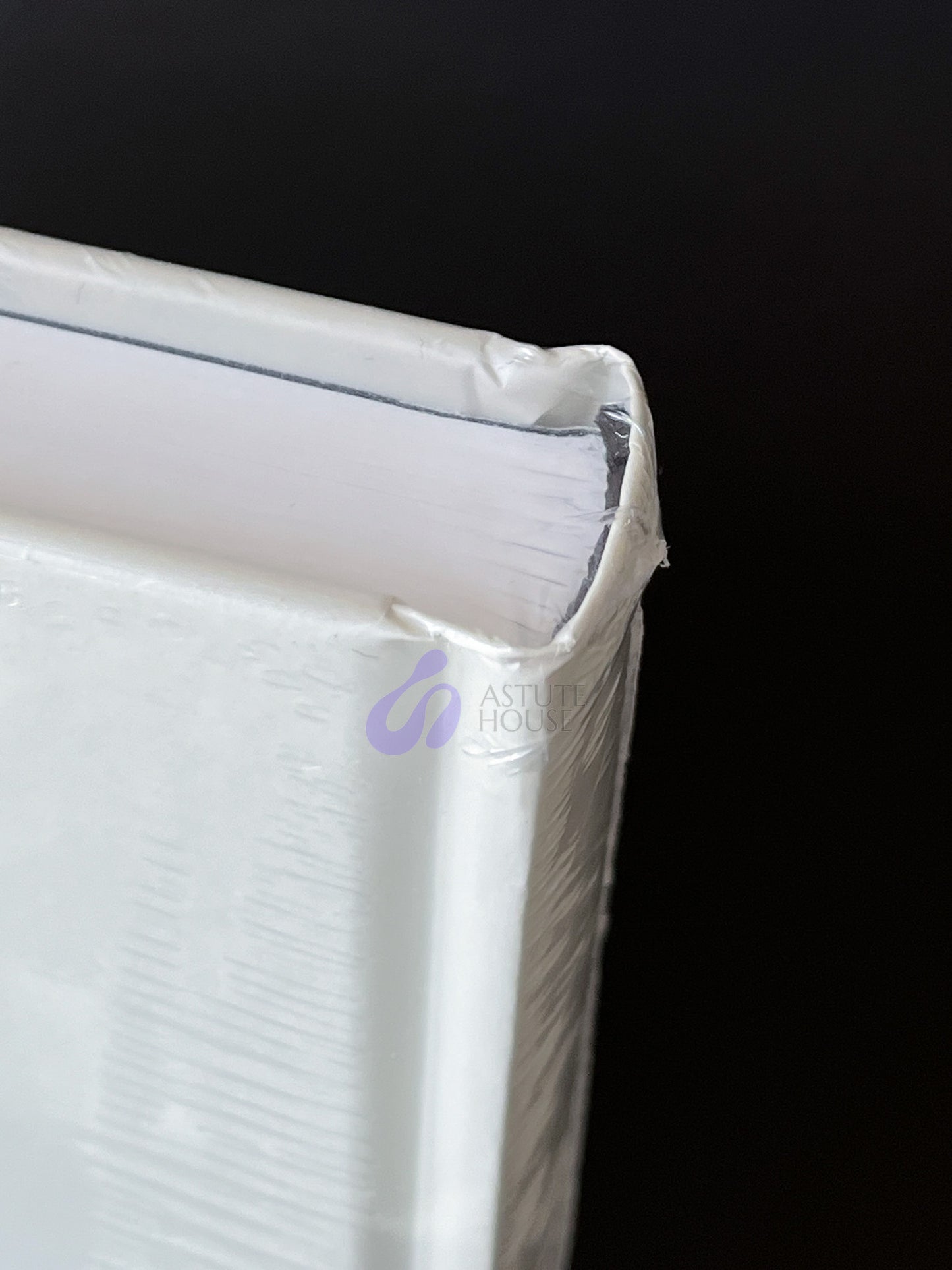 Banksy by Stefano Antonelli & Gianluca Marziani