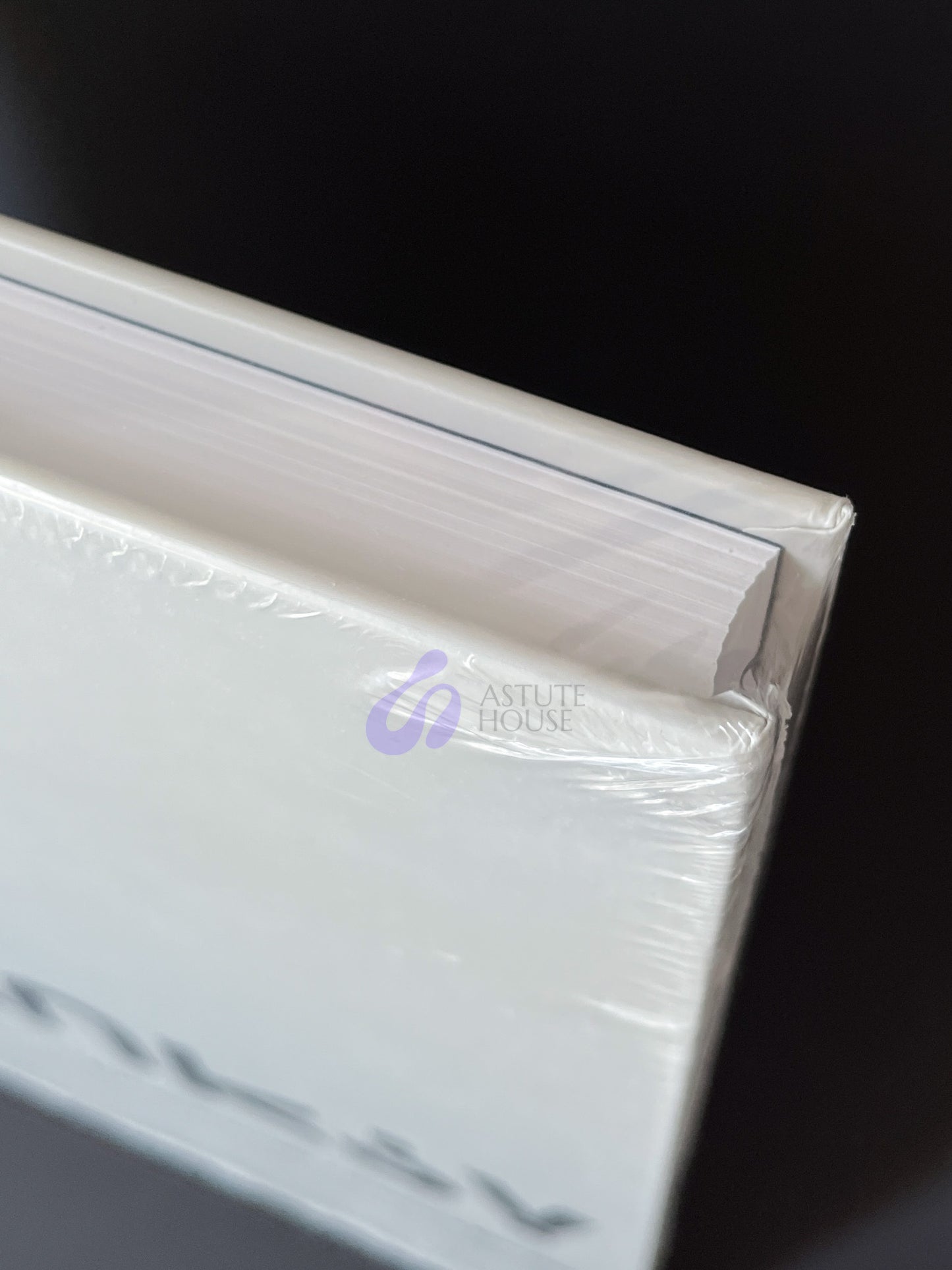 Banksy by Stefano Antonelli & Gianluca Marziani