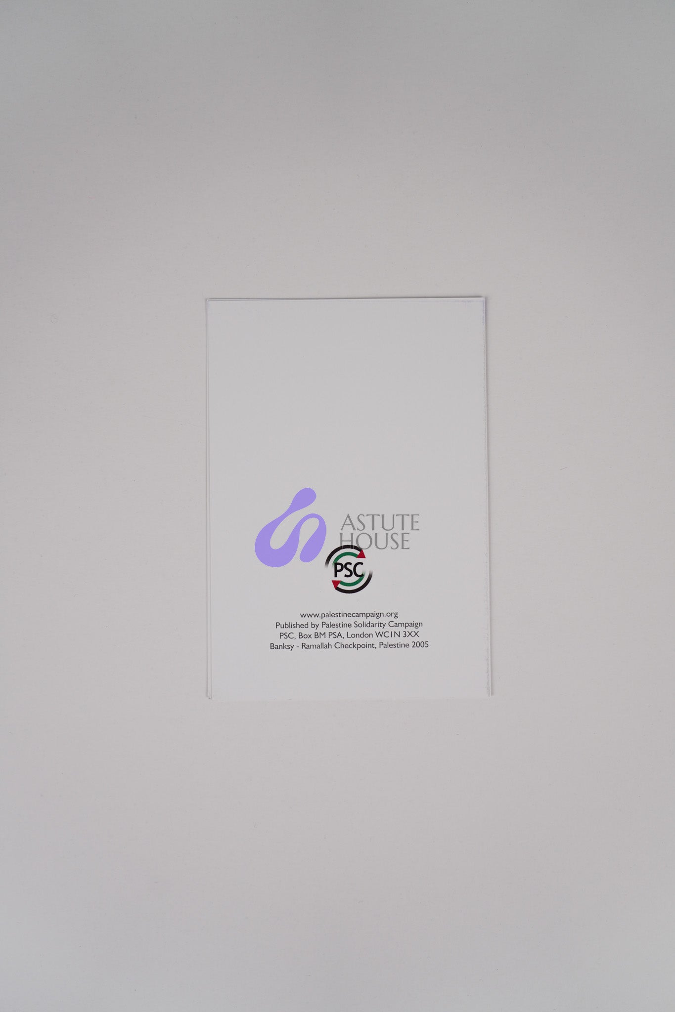 Mural Palestine - The Girl with Balloons