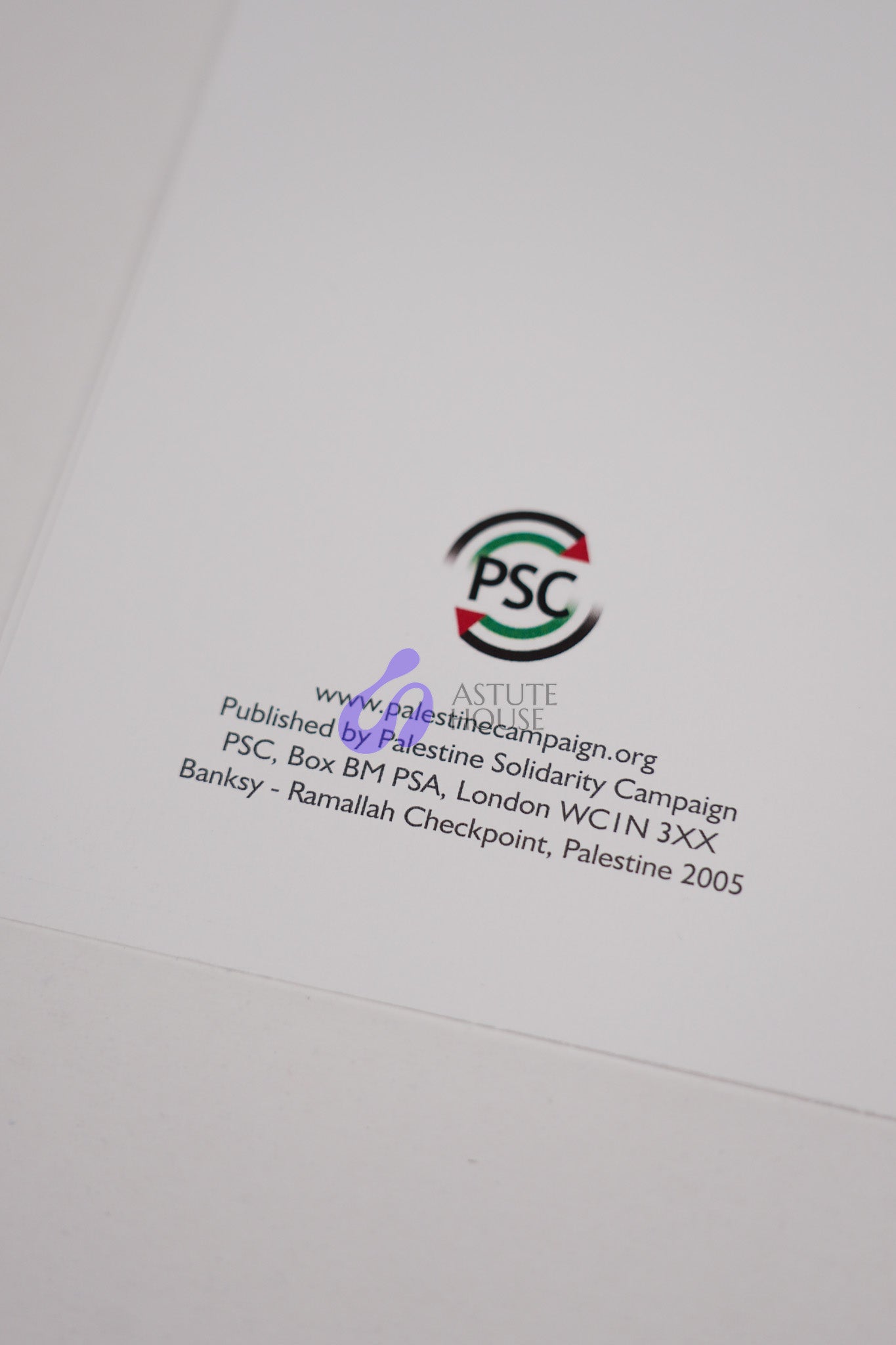 Mural Palestine - The Girl with Balloons