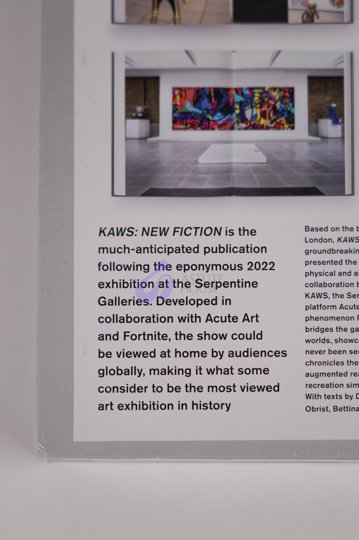 KAWS: New Fiction