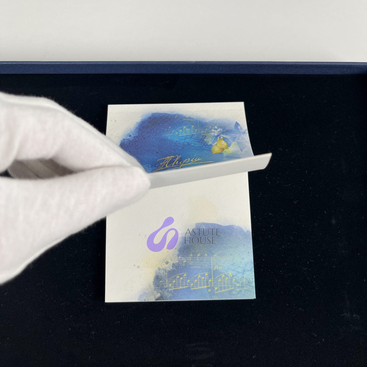 Homage to Frédéric Chopin Rollerball Pen